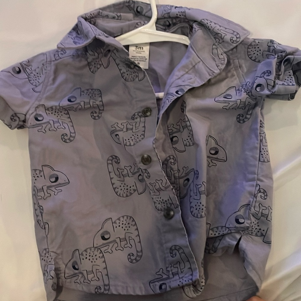 Chameleon button down